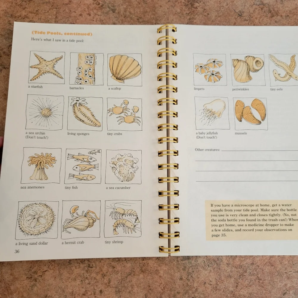 My Trip To The Beach ~ A Memory-Box Activity Book Set  ~ 1987 ~ FINAL PRICE!